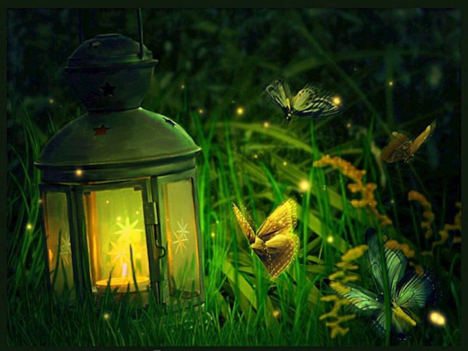 Обложка книги Короткая сказка про мотылька