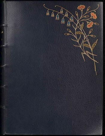 Обложка книги Путешествие