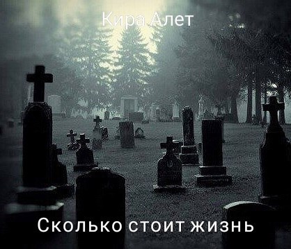 Обложка книги Сколько стоит жизнь