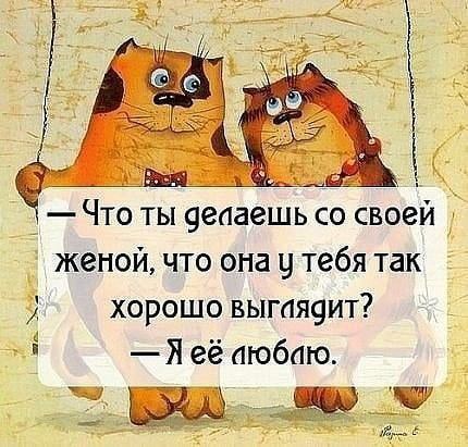 Обложка книги Вырезанная часть из "Звезды ветер и мы, дорогами иных миров"