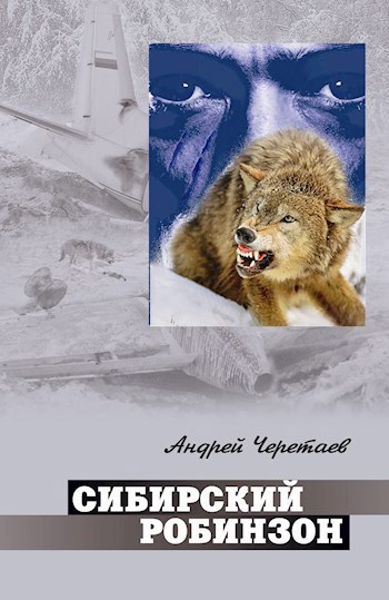 Обложка книги Сибирский робинзон