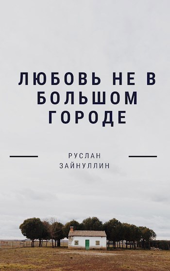 Обложка книги Любовь не в большом городе.