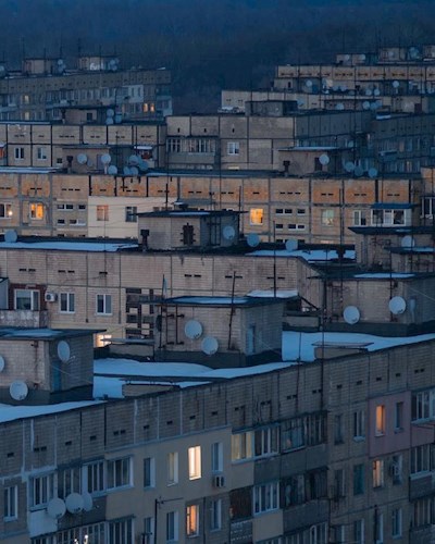 Обложка книги Слоны