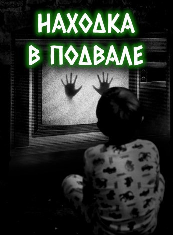 Обложка книги Находка в подвале