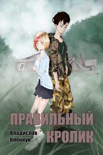 Обложка книги Правильный кролик