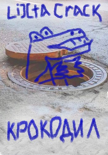 Обложка книги Крокодил