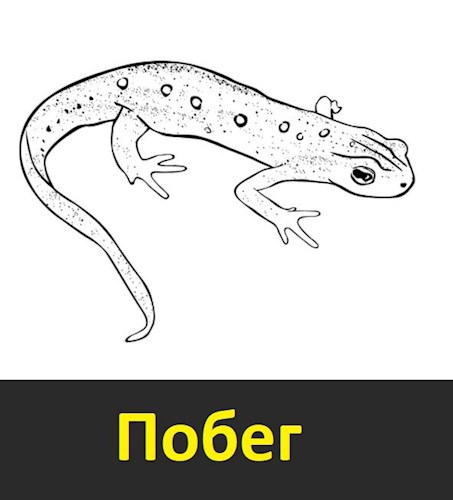 Обложка книги Побег