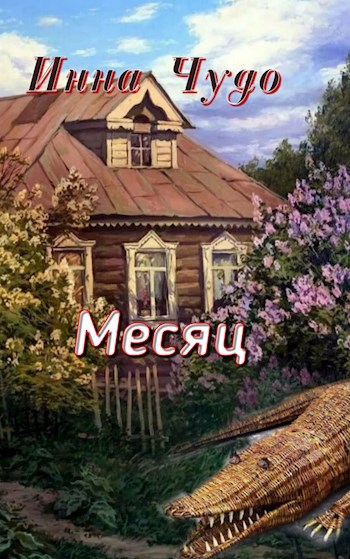 Обложка книги Месяц