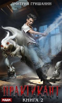Обложка книги Практикант-2