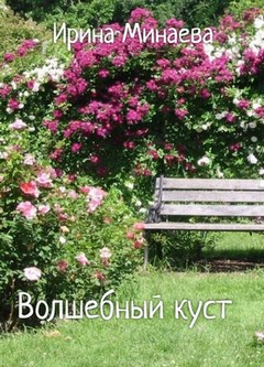 Обложка книги Волшебный куст