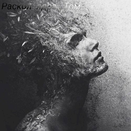 Обложка книги Раскол ядра. Том 2.