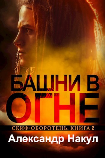 Обложка книги Башни в огне