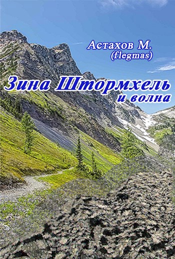 Обложка книги Зина Штормхель и волна