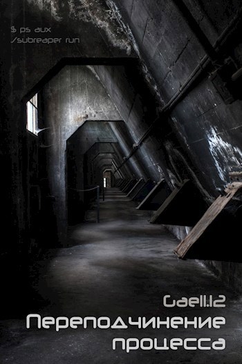 Обложка книги Переподчинение процесса