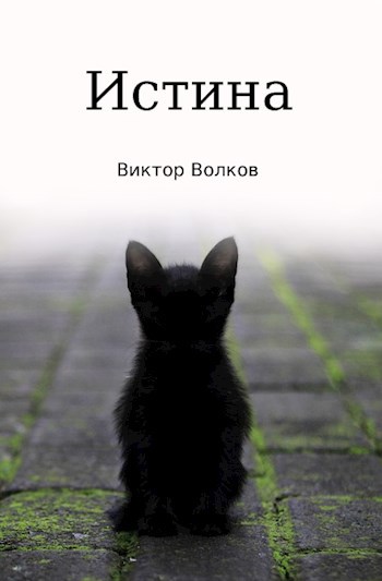 Обложка книги Истина