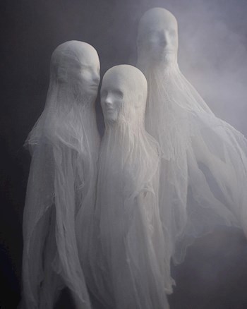 Обложка книги Жатва покойника