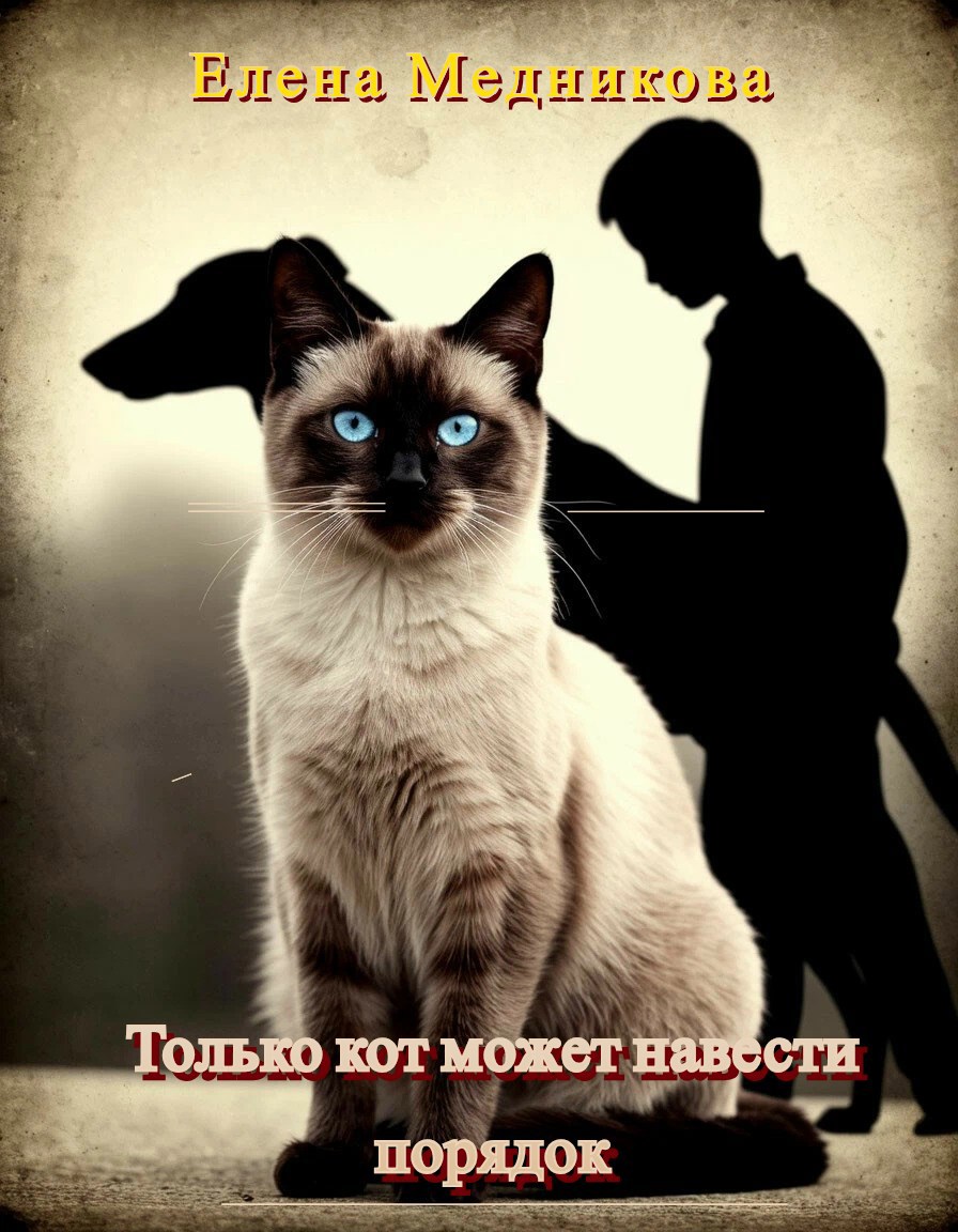 Обложка книги Только кот может навести порядок