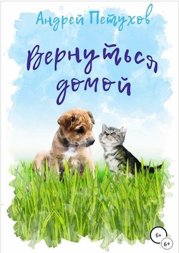 Обложка книги Вернуться домой