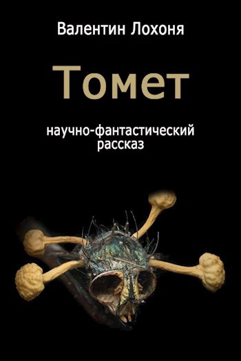 Обложка книги Томет