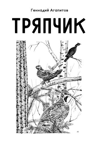 Обложка книги Тряпчик