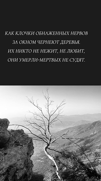 Обложка книги Как клочки обнаженных нервов