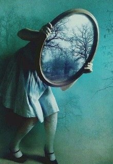 Обложка книги Зеркальный феномен