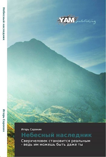 Обложка книги НЕБЕСНЫЙ НАСЛЕДНИК