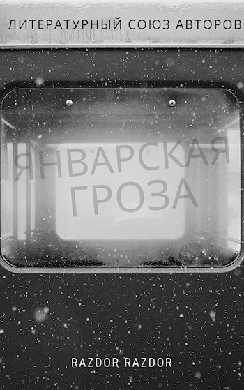 Обложка книги Январская гроза