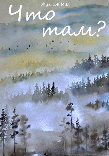 Обложка книги Что там?