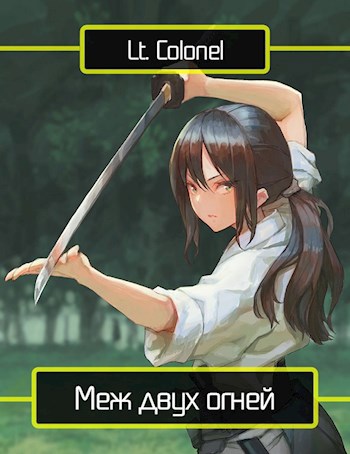 Обложка книги Меж двух огней