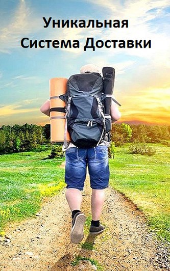 Обложка книги Система Доставки