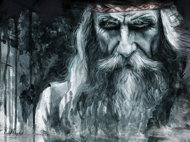 Обложка книги Воин Сварога.