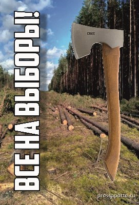 Обложка книги Все на выборы