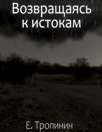 Обложка книги Возвращаясь к истокам