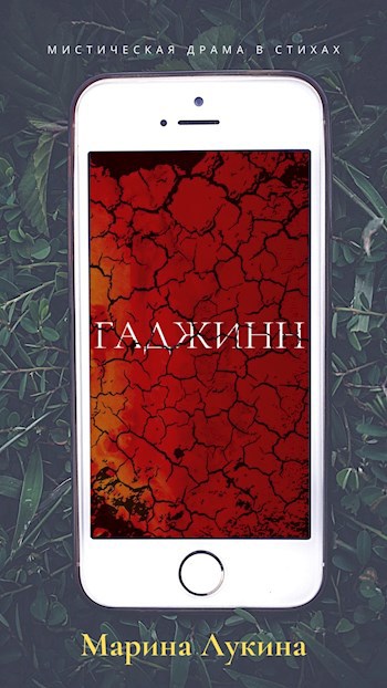 Обложка книги Гаджинн