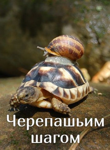 Обложка книги Черепашьим шагом
