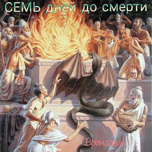 Обложка книги Семь дней до смерти