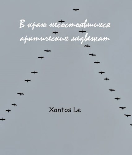 Обложка книги В краю несостоявшихся арктических медвежат