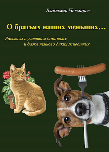 Обложка книги Кое-что о братьях наших меньших