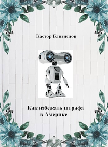 Обложка книги Как избежать штрафа в Америке.