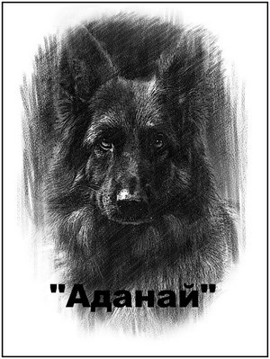Обложка книги АДАНАЙ