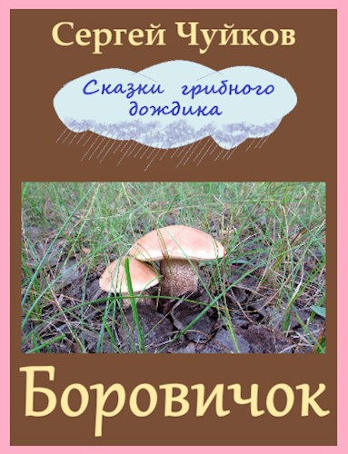 Обложка книги Боровичок