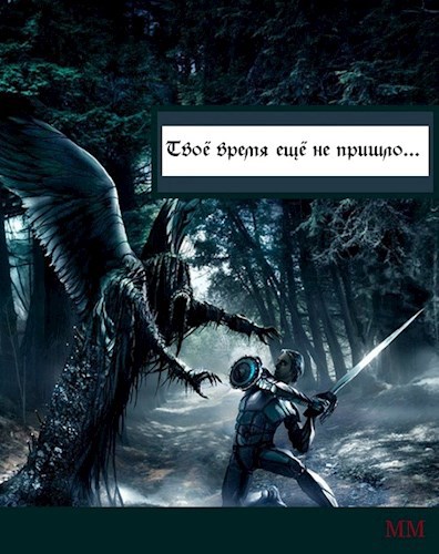 Обложка книги Твоё время ещё не пришло...
