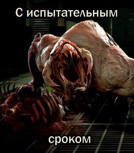 Обложка книги С испытательным сроком