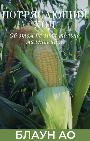 Обложка книги Потрясающий ход