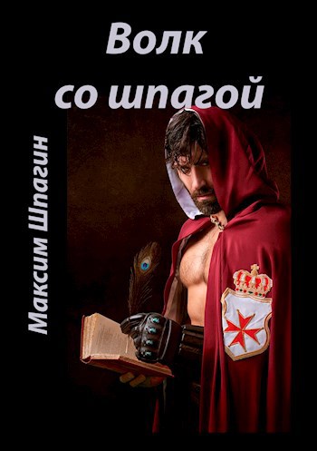 Обложка книги Волк со шпагой
