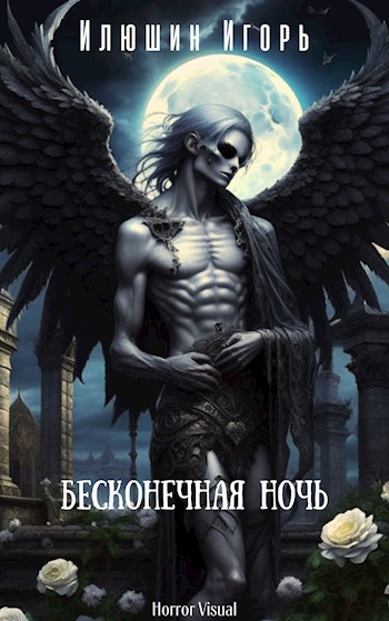 Обложка книги Бесконечная ночь