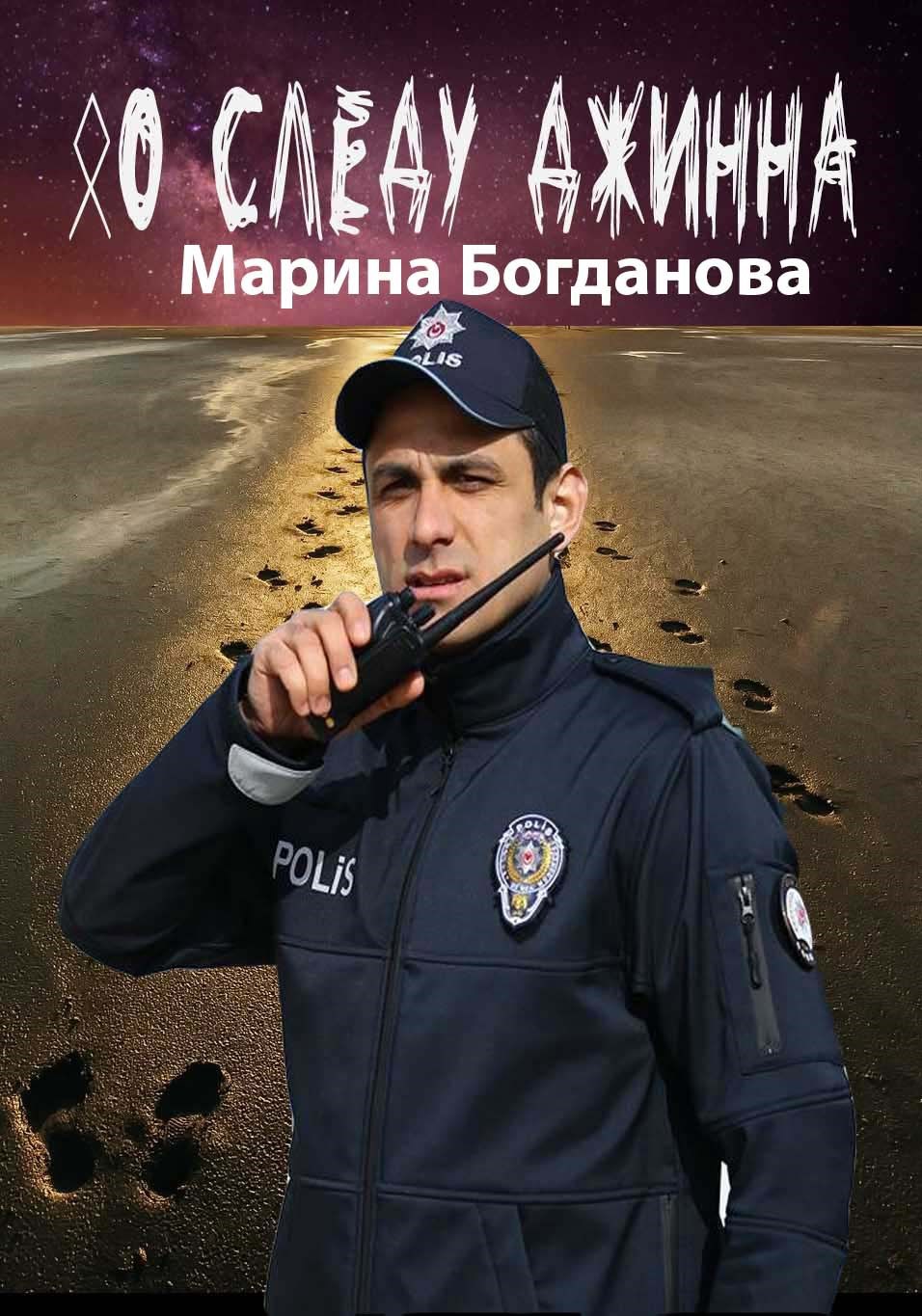 Обложка книги По следу джинна