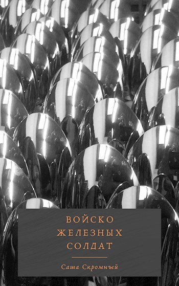Обложка книги Войско железных солдат