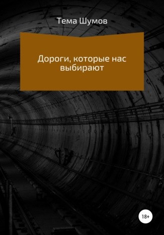 Обложка книги Дороги, которые нас выбирают
